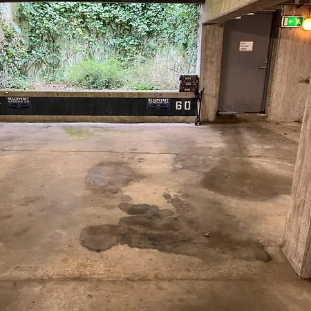 1br - Close To Botanical Garden & Nature Apartament *